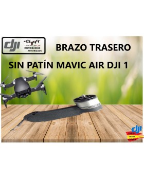 BRAZO TRASERO SIN PATÍN...